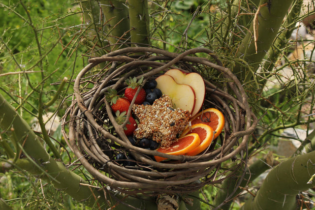 Our hand-made grapevine mini tree nests are created and transformed into all of a wild birds necessities. 