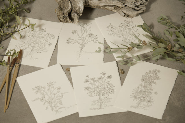 BOTANICAL CARDS