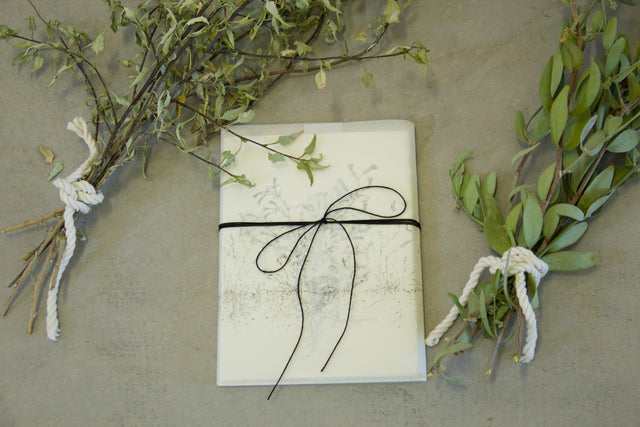 Botanical Ambrosia Deltoidea Card Pack of 5