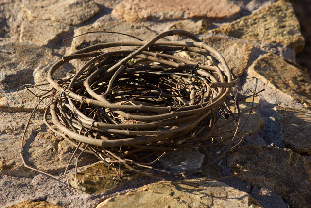 Our Nest is hand-crafted and made from twisted grapevines. Variance appearance may occur due to our hand-made process 12"W x 12"W x 4"H roughly, slight variance due to hand-crafting Fruit not included