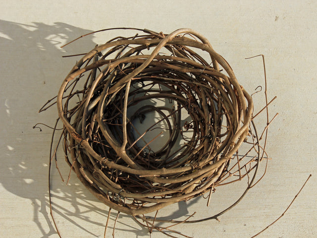 Tree Nest for Wild Foraging Birds